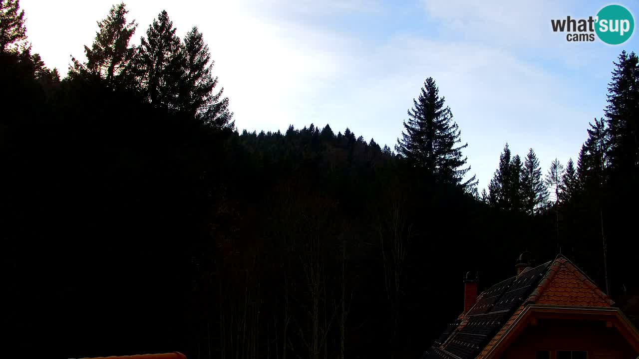 Spletna kamera Lukanja – Water Village | Pohorje Houses