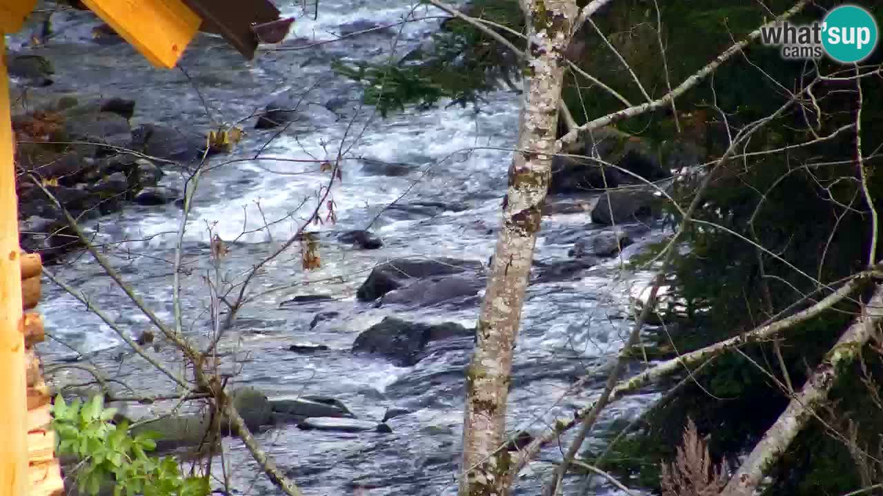 Webcam Lukanja – Pohorje houses a Water village