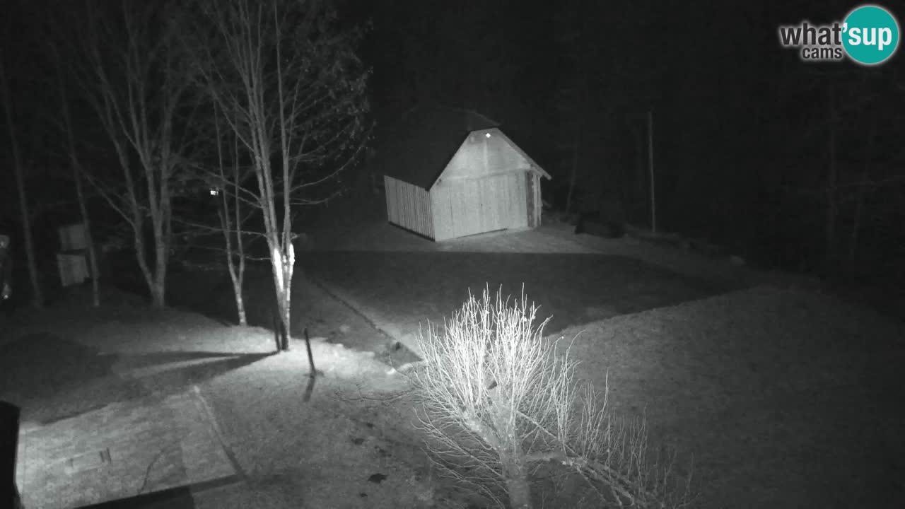 Webcam Lukanja – Water Village | Pohorje Houses