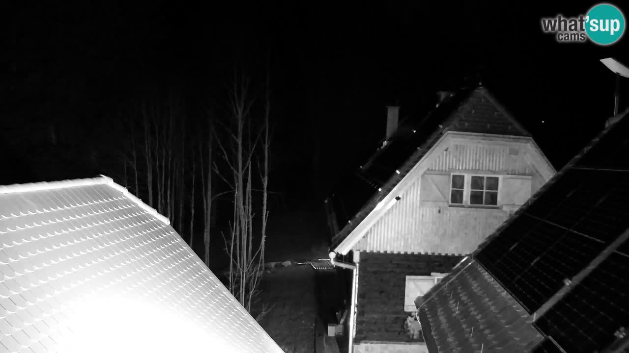 Webcam Lukanja – Water Village | Pohorje Houses