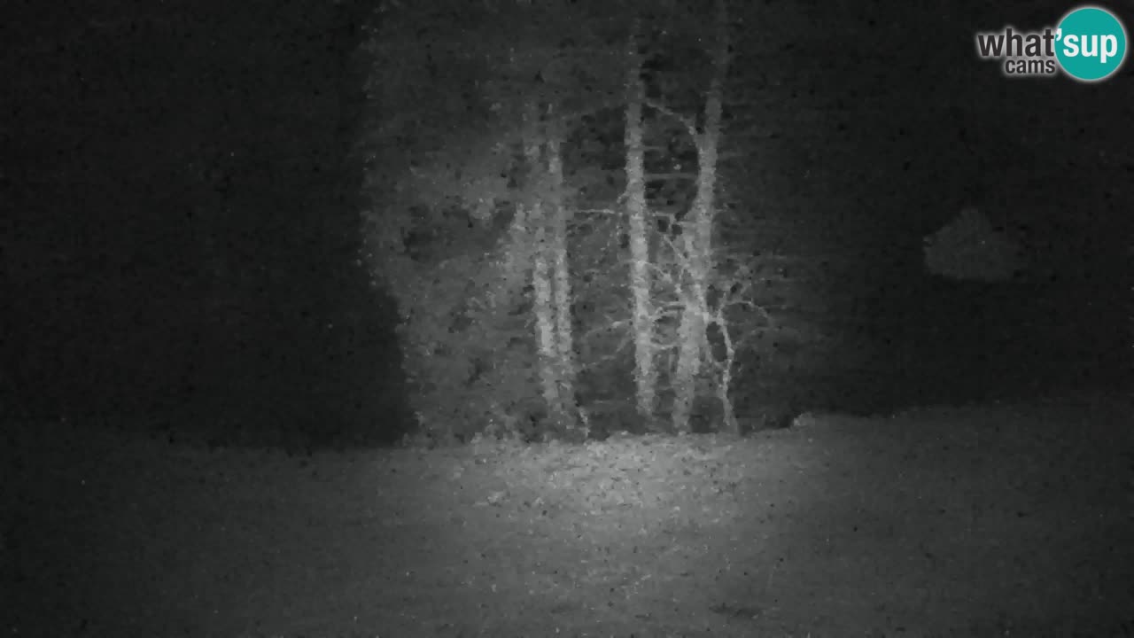 Webcam Lukanja – Water Village | Pohorje Houses