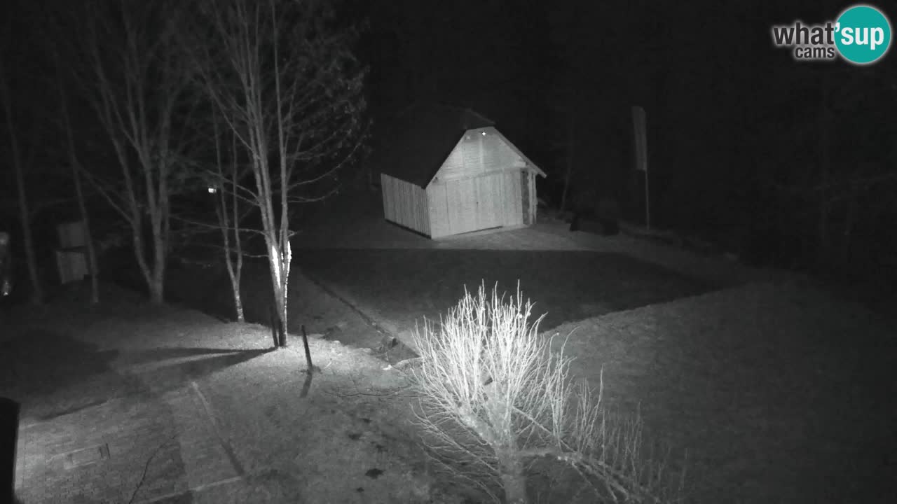 Webcam Lukanja – Pohorje houses a Water village