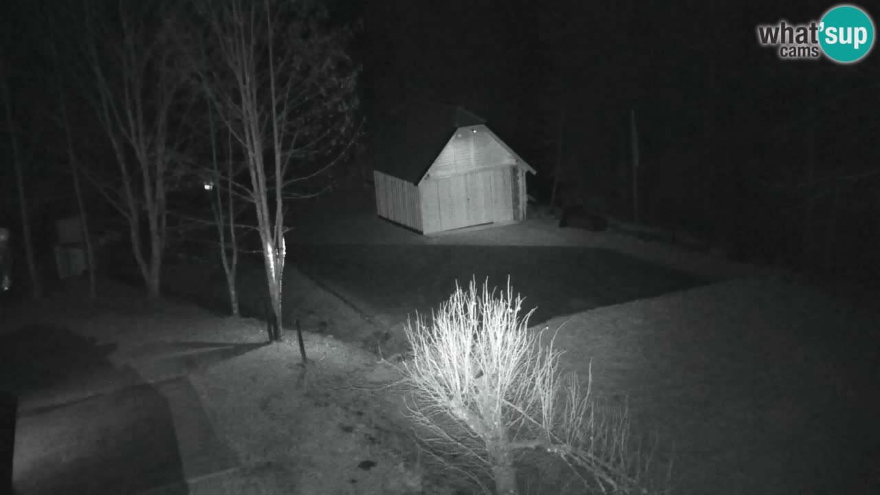 Webcam Lukanja – Water Village | Pohorje Houses