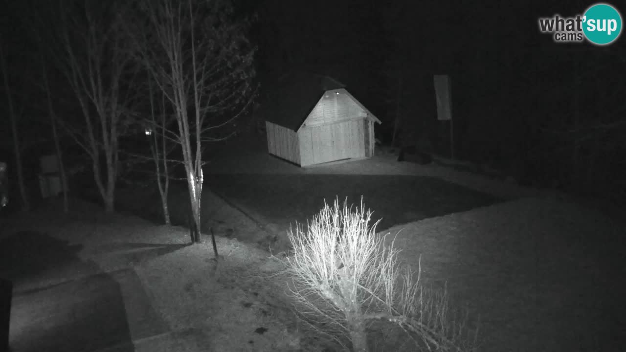 Webcam Lukanja – Water Village | Pohorje Houses