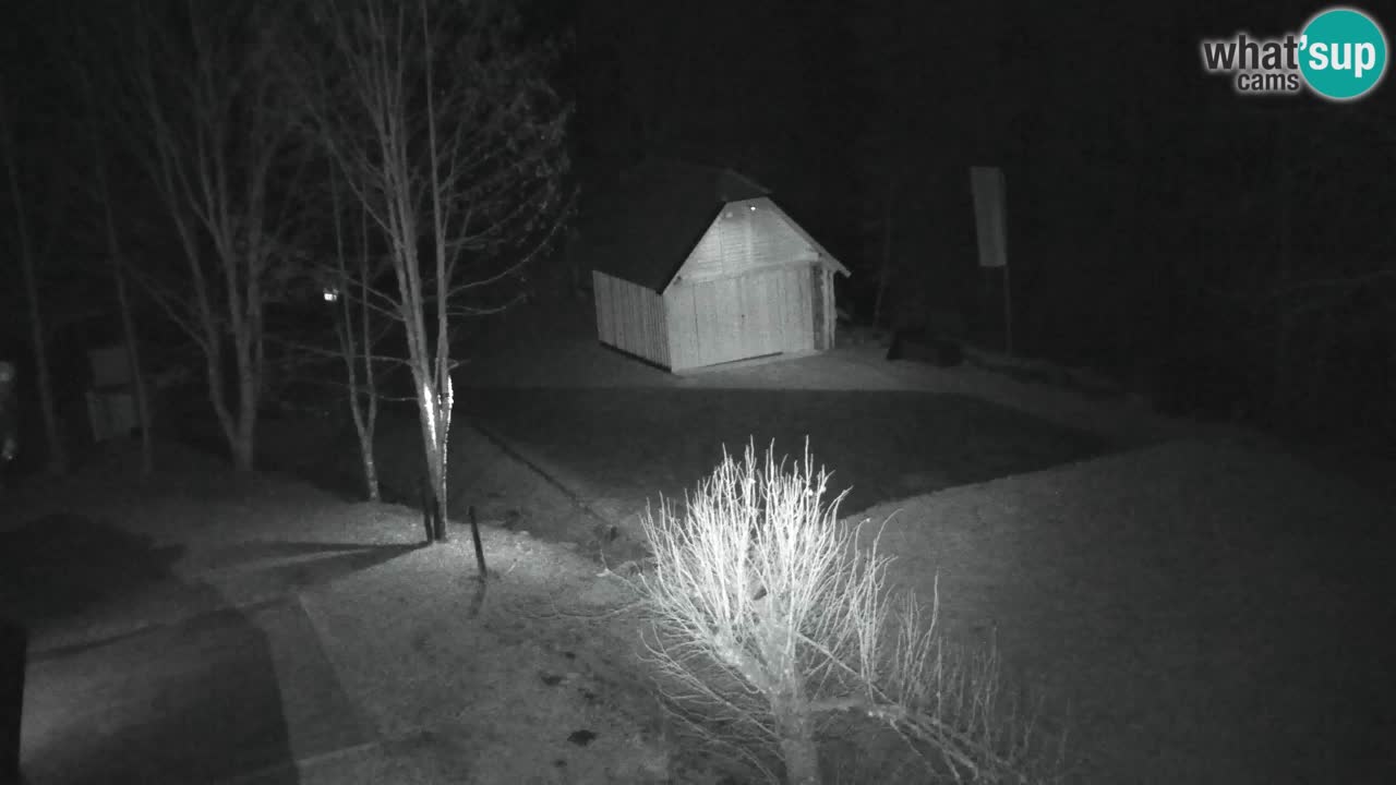 Web kamera Lukanja – Water Village | Pohorje Houses