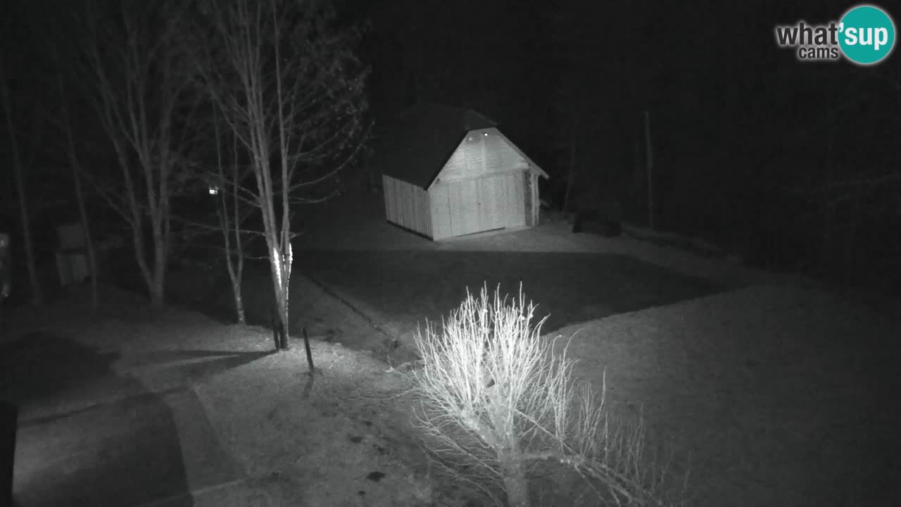 Webcam Lukanja – Water Village | Pohorje Houses