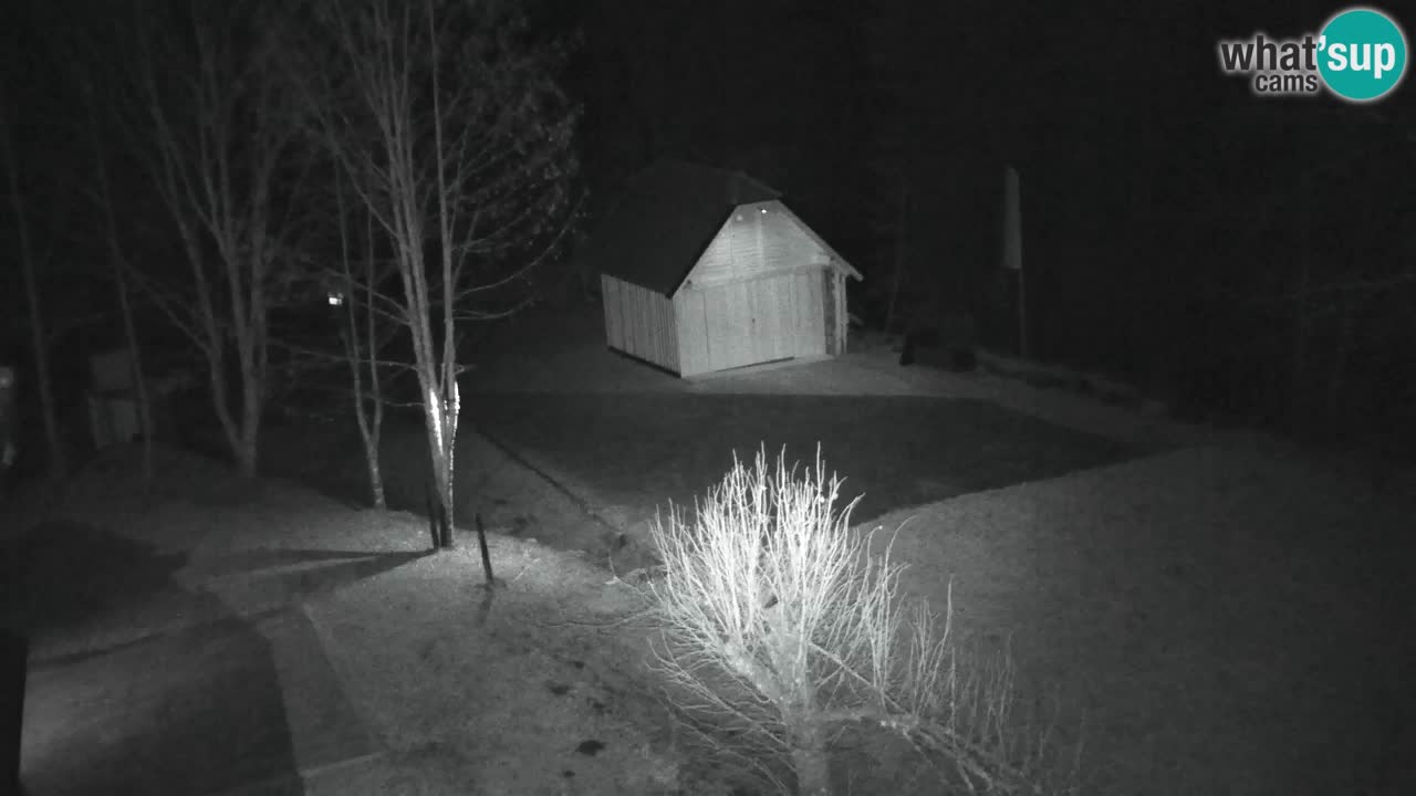 Webcam Lukanja – Pohorje houses a Water village