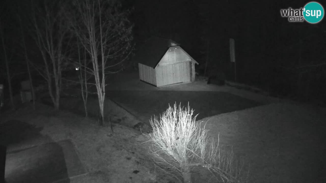 Webcam Lukanja – Water Village | Pohorje Houses