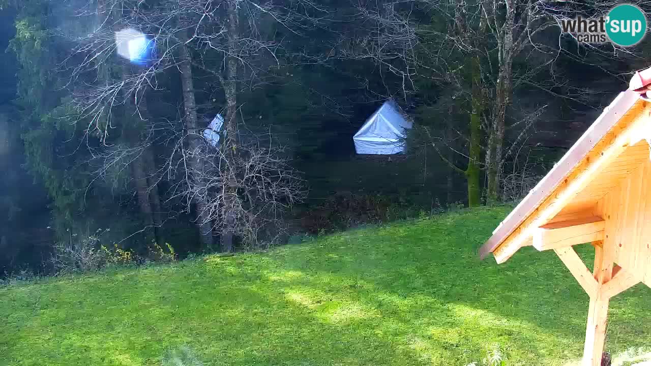 Webcam Lukanja – Water Village | Pohorje Houses