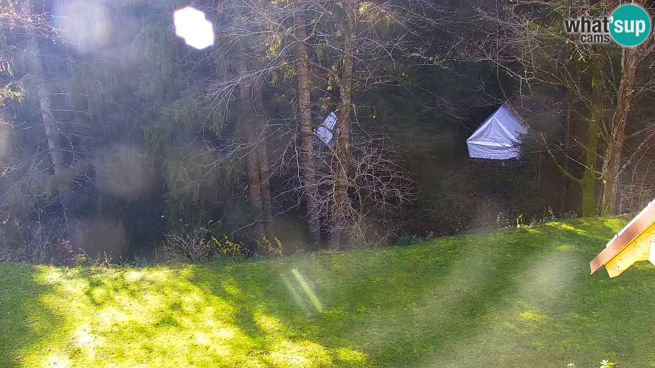 Spletna kamera Lukanja – Water Village | Pohorje Houses