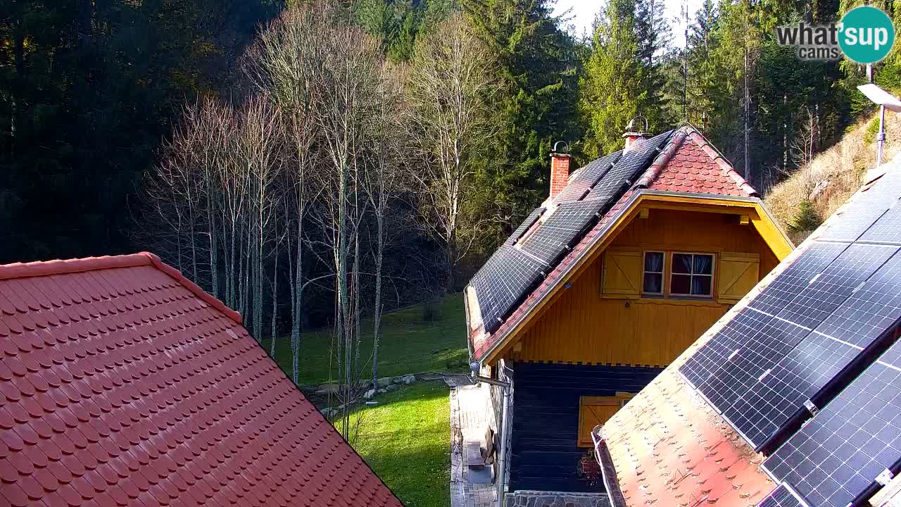 Webcam Lukanja – Water Village | Pohorje Houses