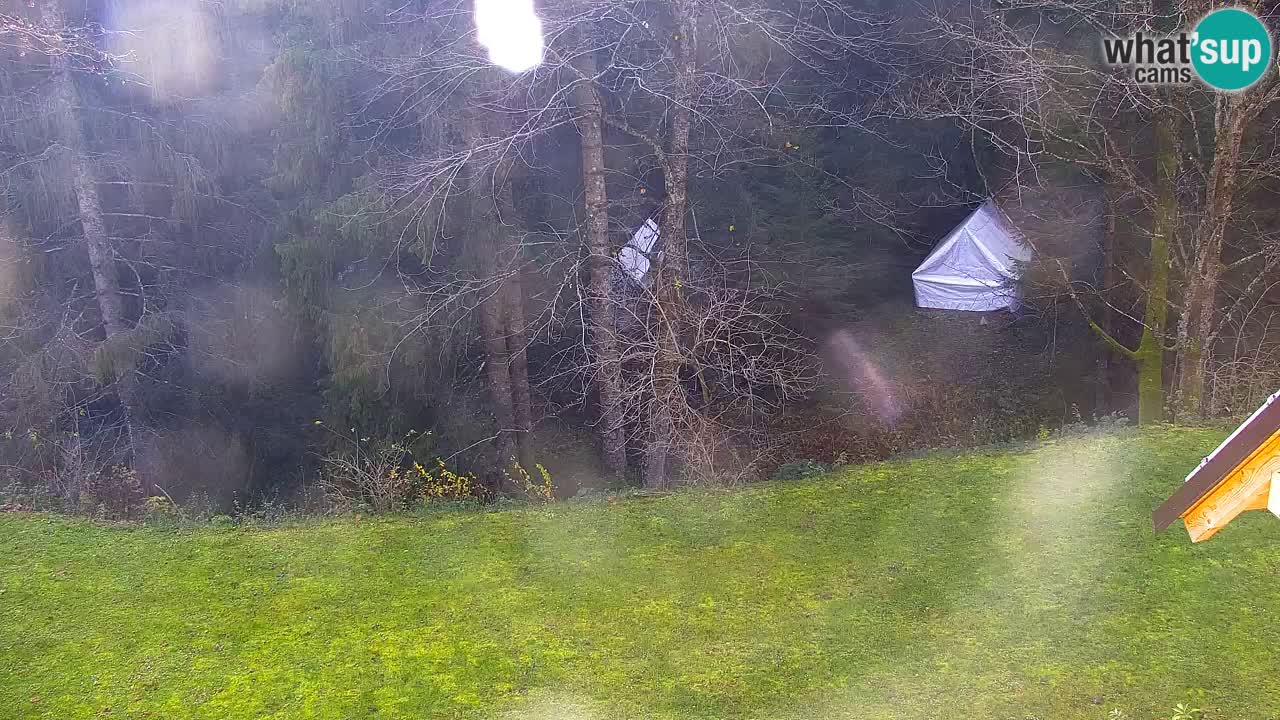 Webcam Lukanja – Water Village | Pohorje Houses