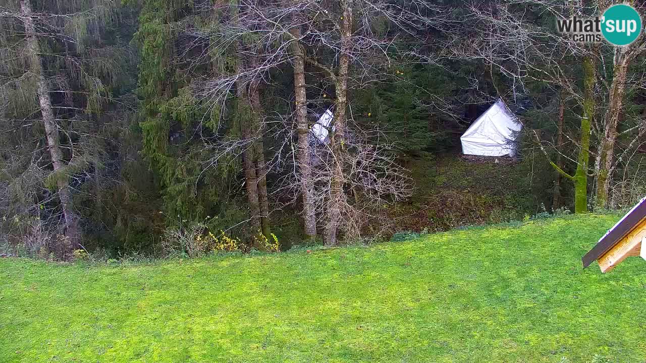 Webcam Lukanja – Water Village | Pohorje Houses