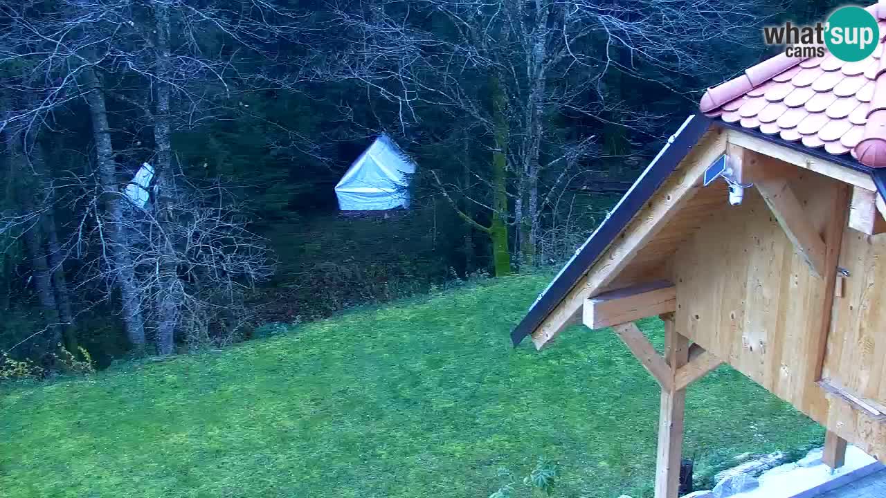 Webcam Lukanja – Water Village | Pohorje Houses