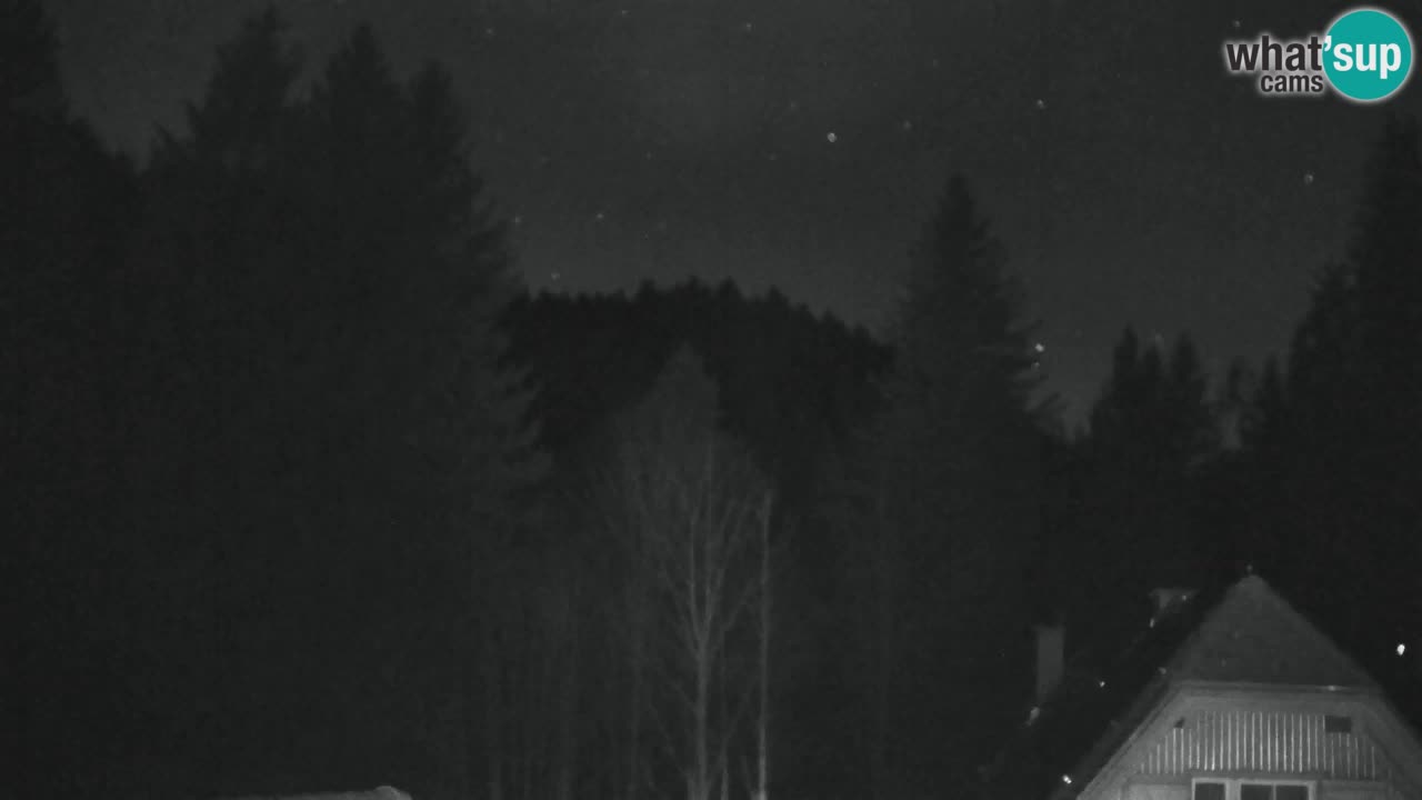 Spletna kamera Lukanja – Water Village | Pohorje Houses