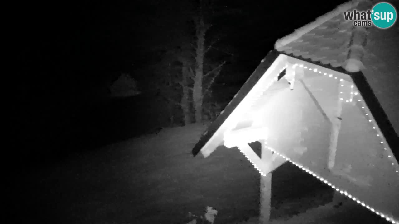 Webcam Lukanja – Pohorje houses a Water village