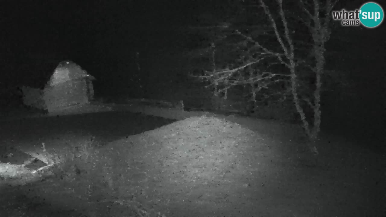 Webcam Lukanja – Water Village | Pohorje Houses