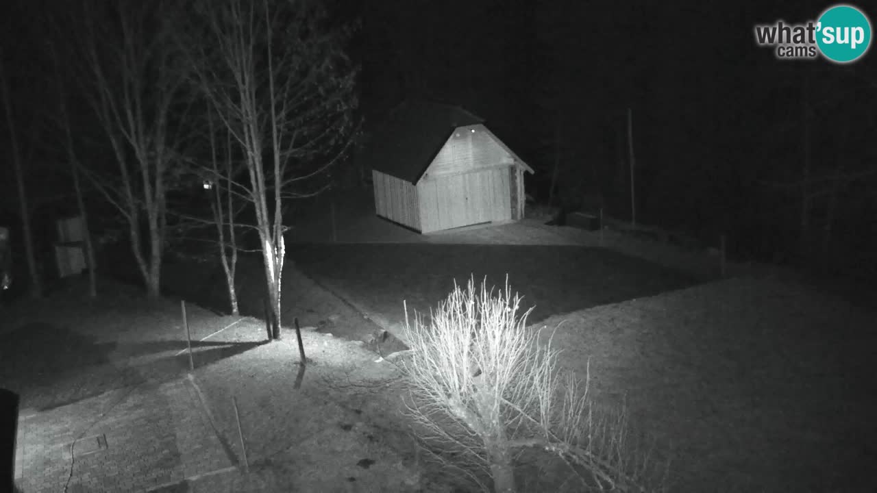 Webcam Lukanja – Water Village | Pohorje Houses