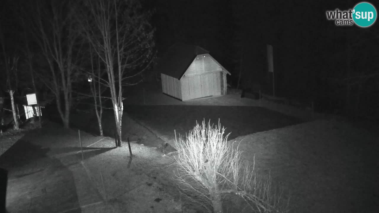 Webcam Lukanja – Pohorje houses a Water village