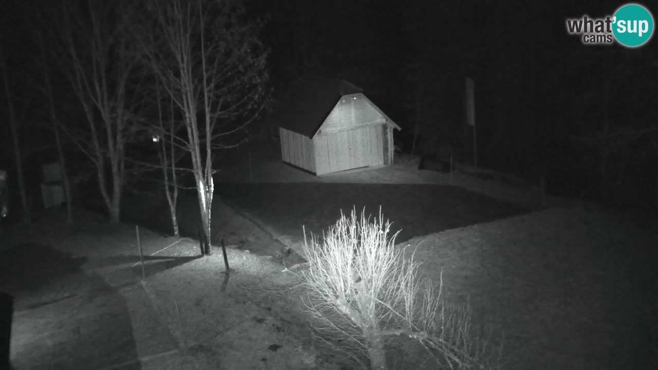 Webcam Lukanja – Pohorje houses a Water village