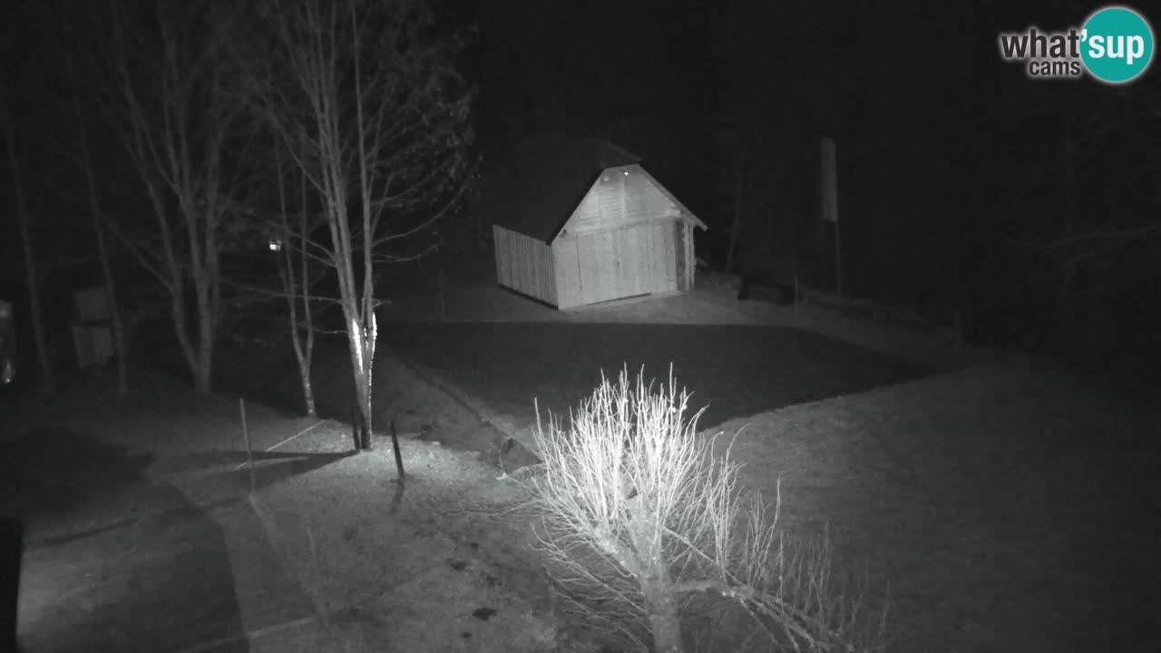 Webcam Lukanja – Water Village | Pohorje Houses