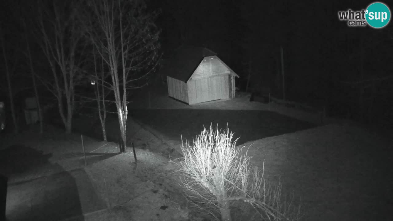 Webcam Lukanja – Pohorje houses a Water village