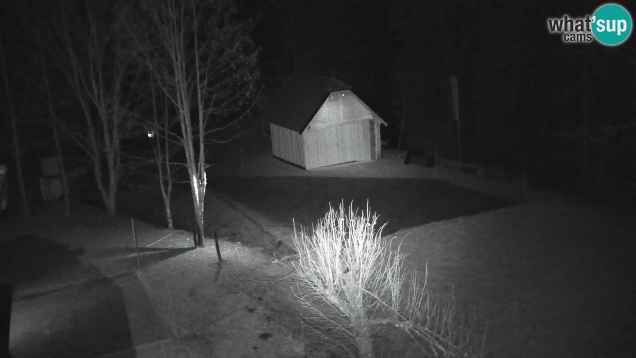 Webcam Lukanja – Water Village | Pohorje Houses