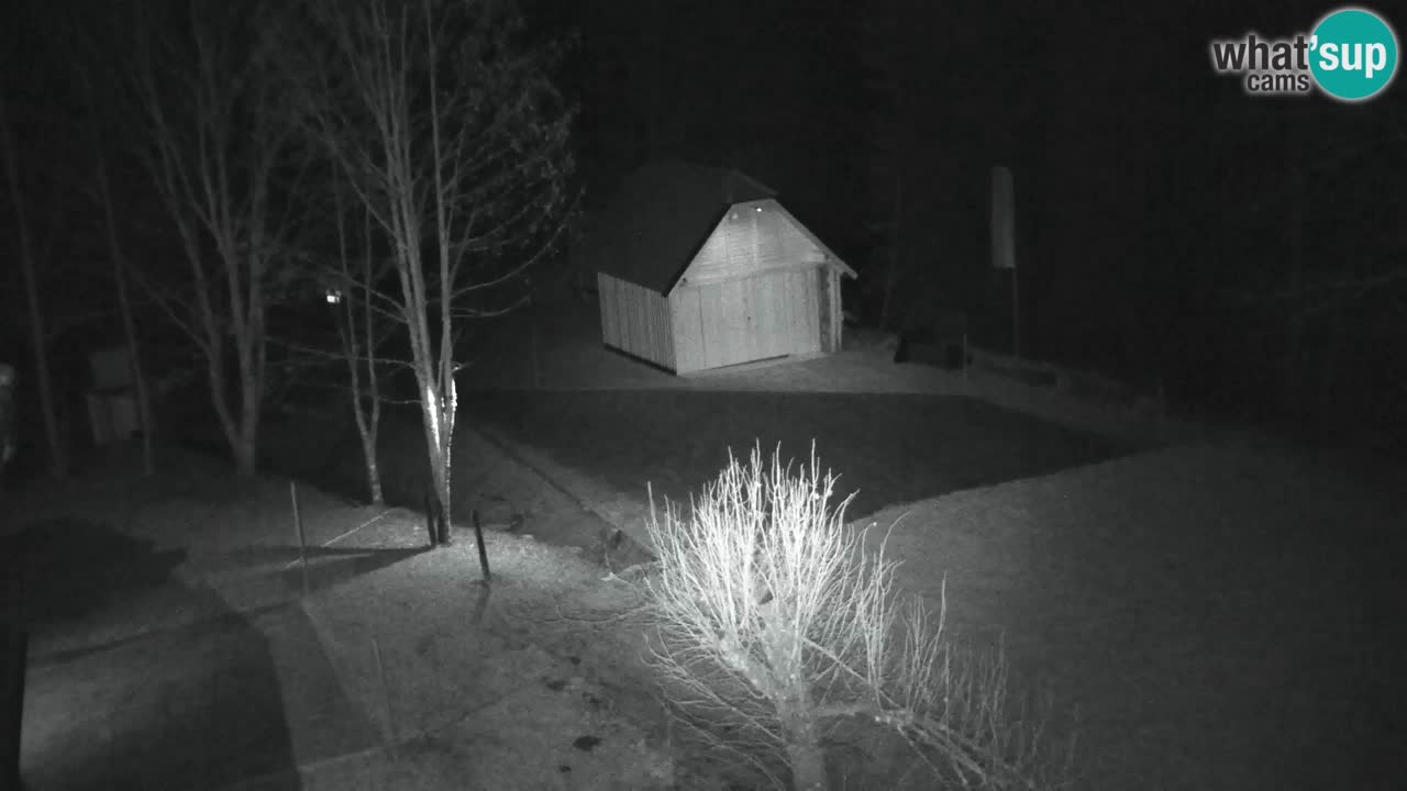 Webcam Lukanja – Water Village | Pohorje Houses