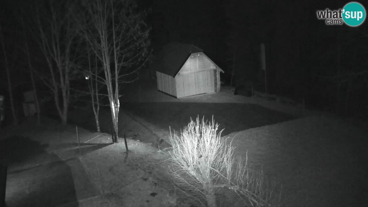 Webcam Lukanja – Water Village | Pohorje Houses