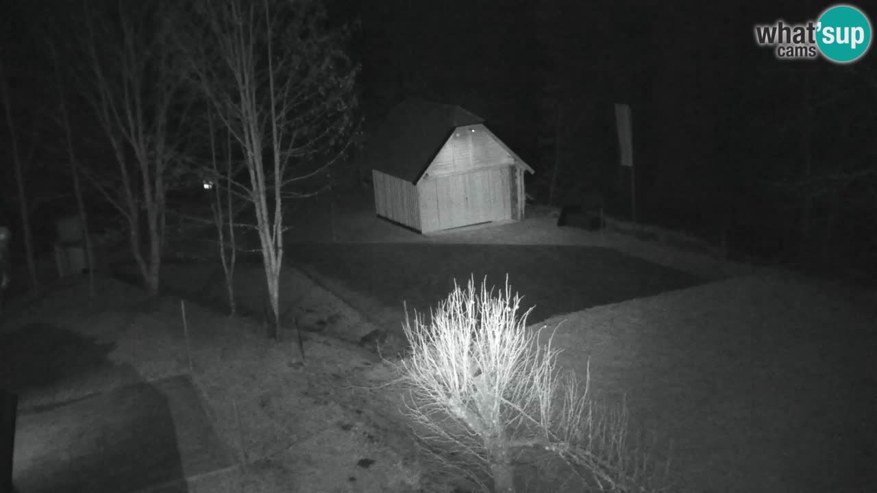 Webcam Lukanja – Water Village | Pohorje Houses