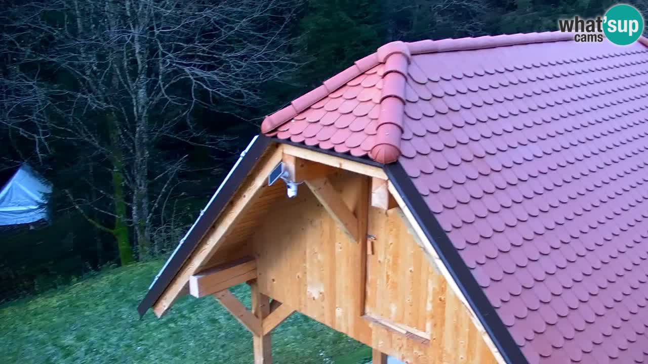 Web kamera Lukanja – Water Village | Pohorje Houses