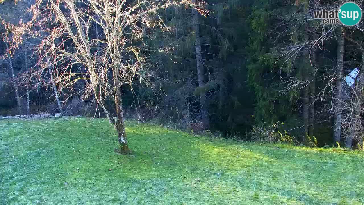 Webcam Lukanja – Water Village | Pohorje Houses