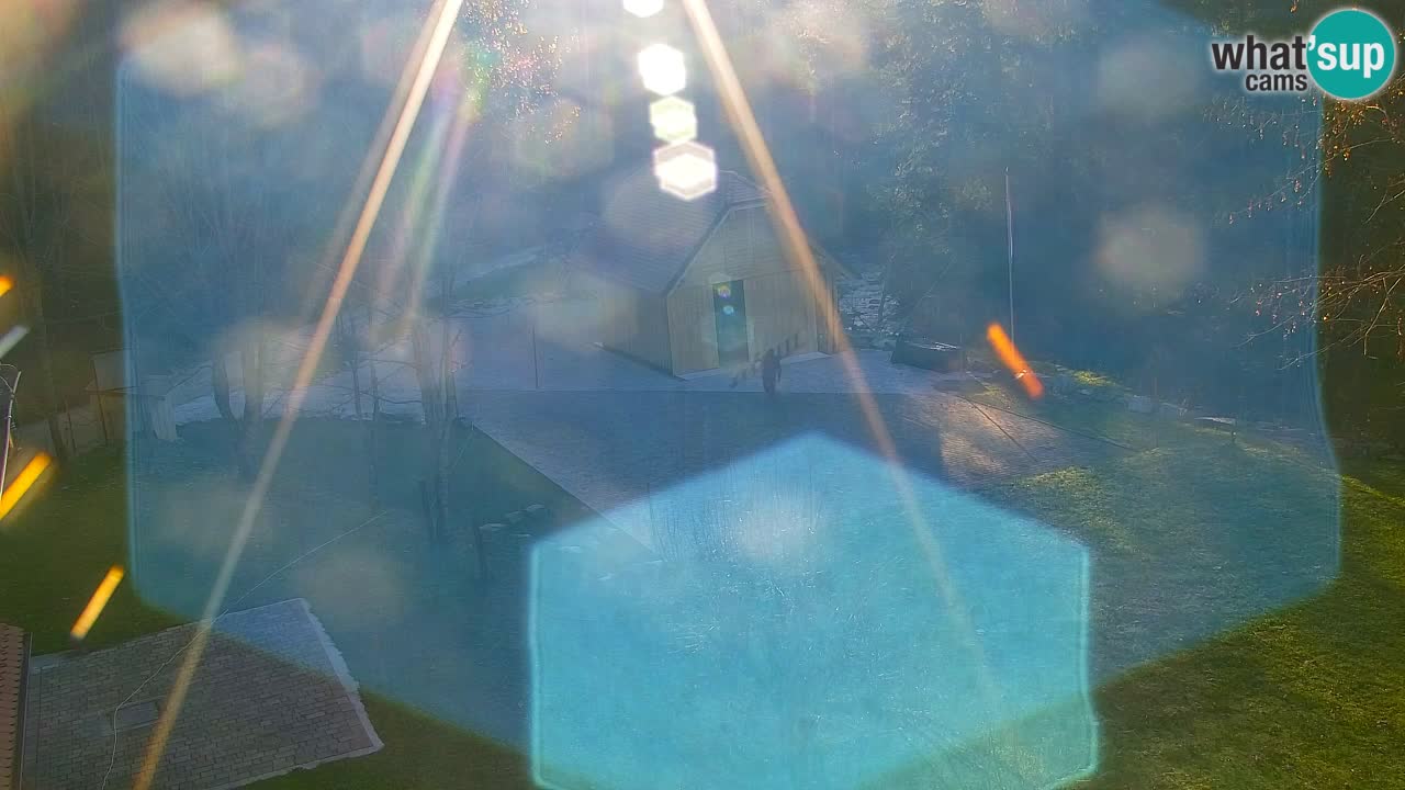 Webcam Lukanja – Pohorje houses a Water village