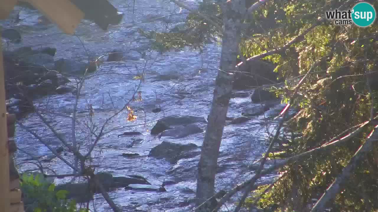 Spletna kamera Lukanja – Water Village | Pohorje Houses