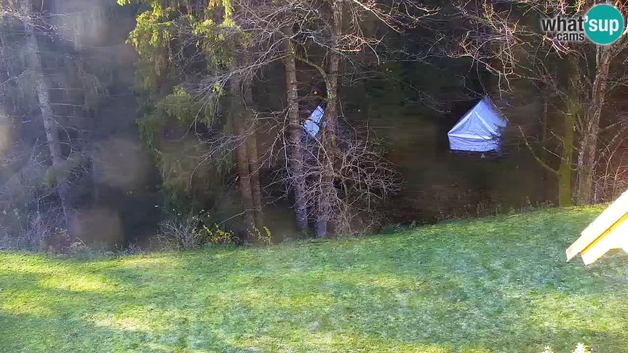 Spletna kamera Lukanja – Water Village | Pohorje Houses
