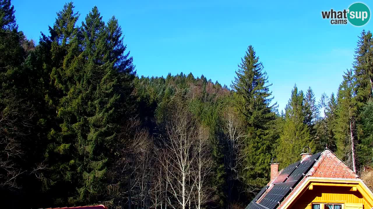 Webcam Lukanja – Water Village | Pohorje Houses