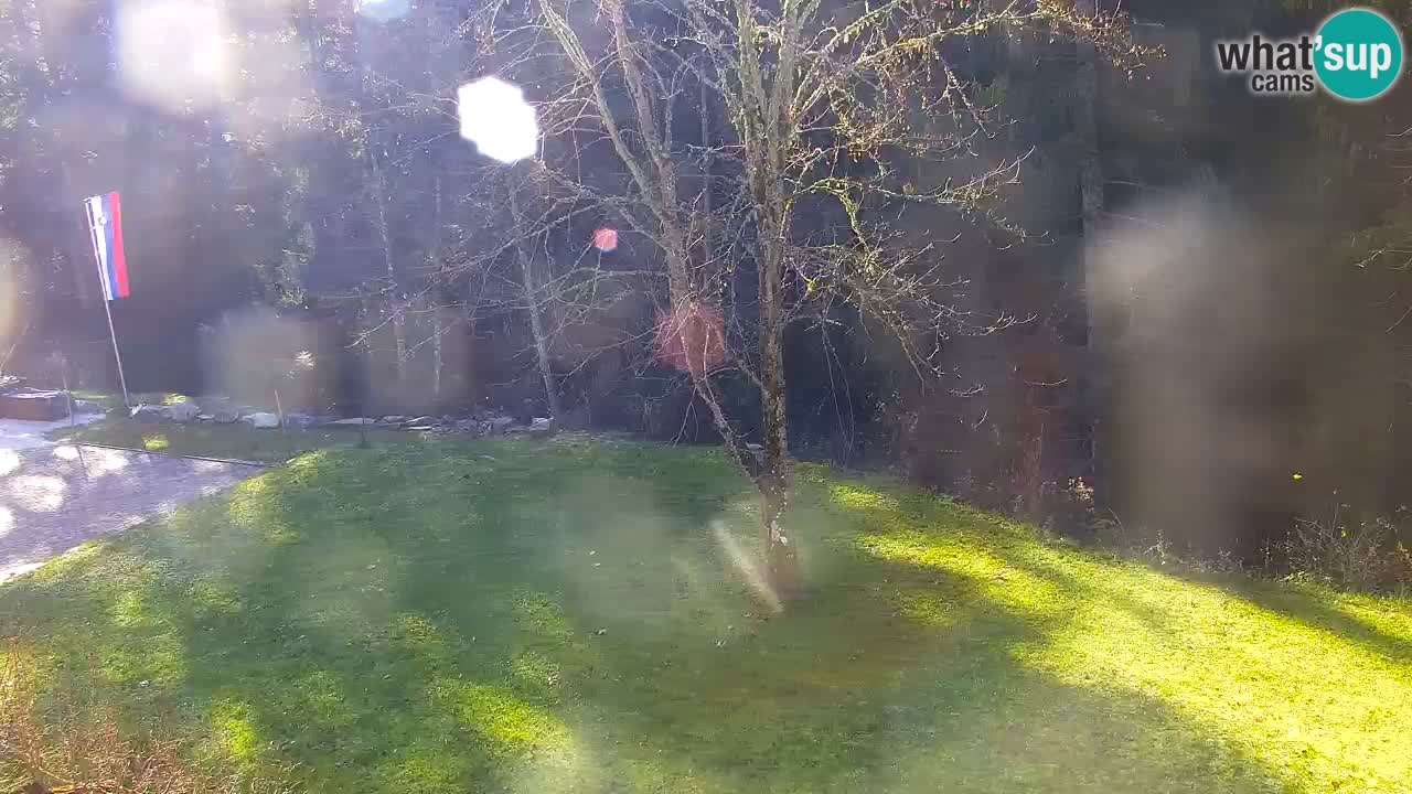 Webcam Lukanja – Water Village | Pohorje Houses