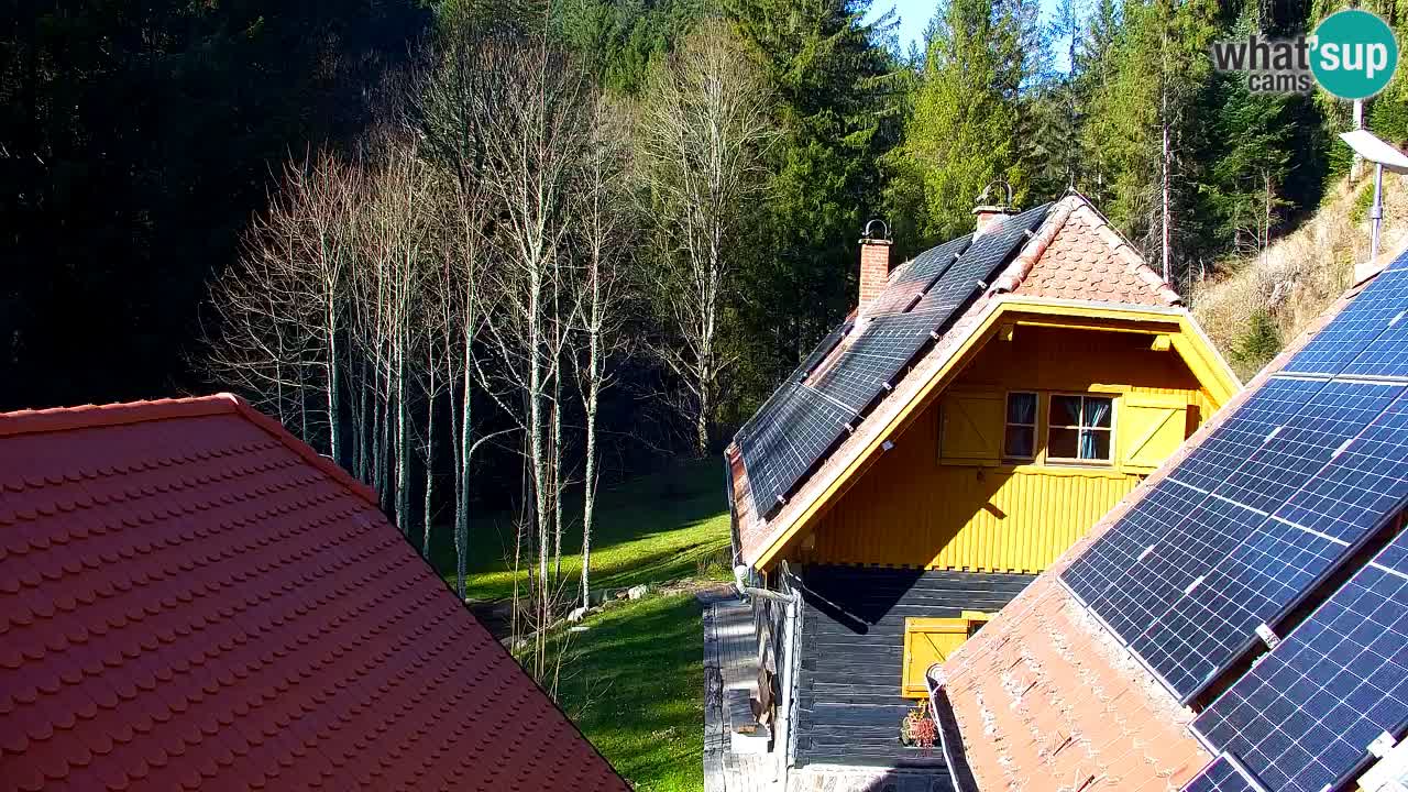 Webcam Lukanja – Water Village | Pohorje Houses