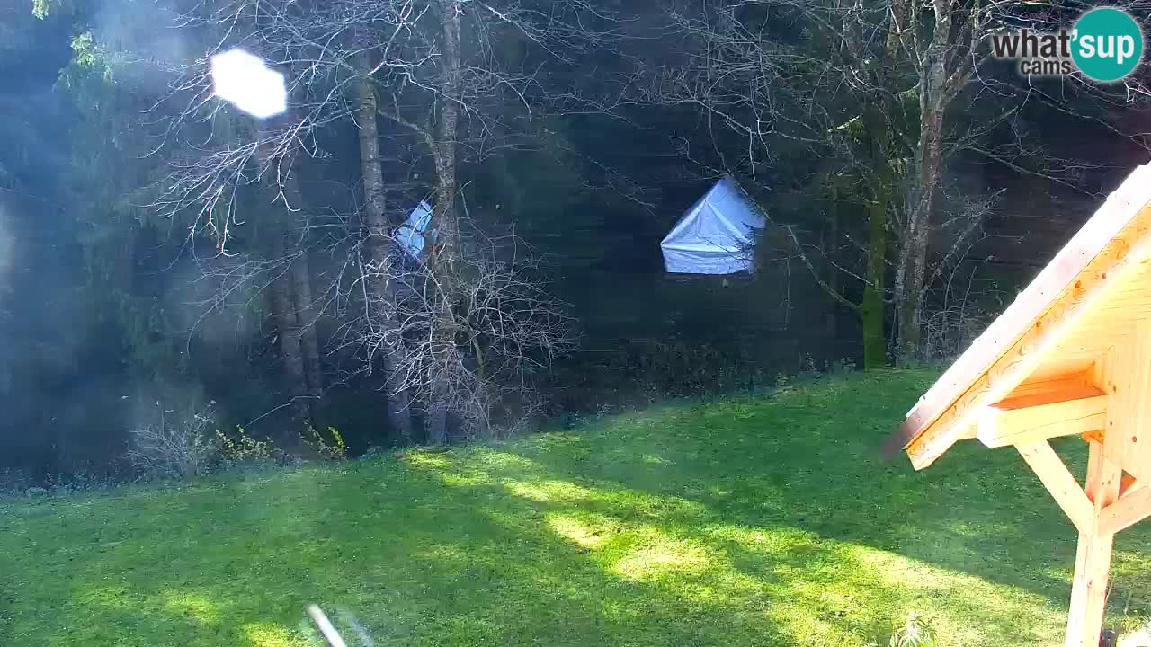 Webcam Lukanja – Pohorje houses a Water village