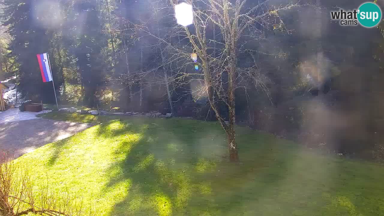 Web kamera Lukanja – Water Village | Pohorje Houses