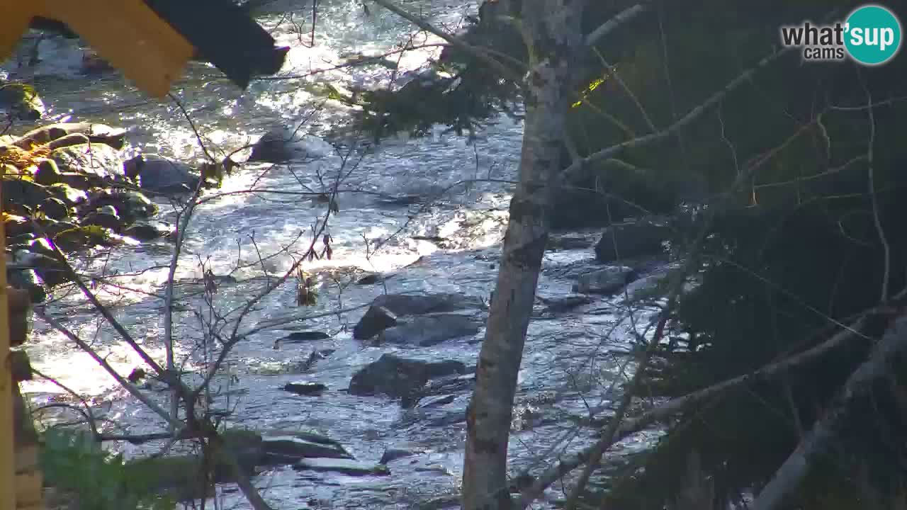 Webcam Lukanja – Pohorje houses a Water village