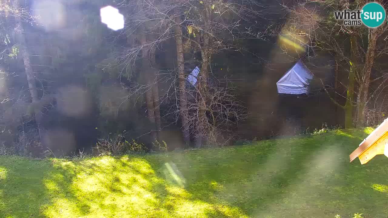 Spletna kamera Lukanja – Water Village | Pohorje Houses