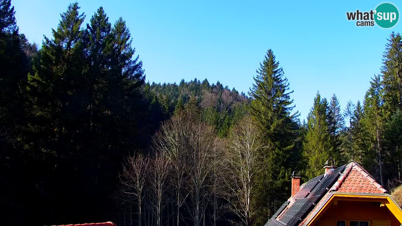 Webcam Lukanja – Water Village | Pohorje Houses