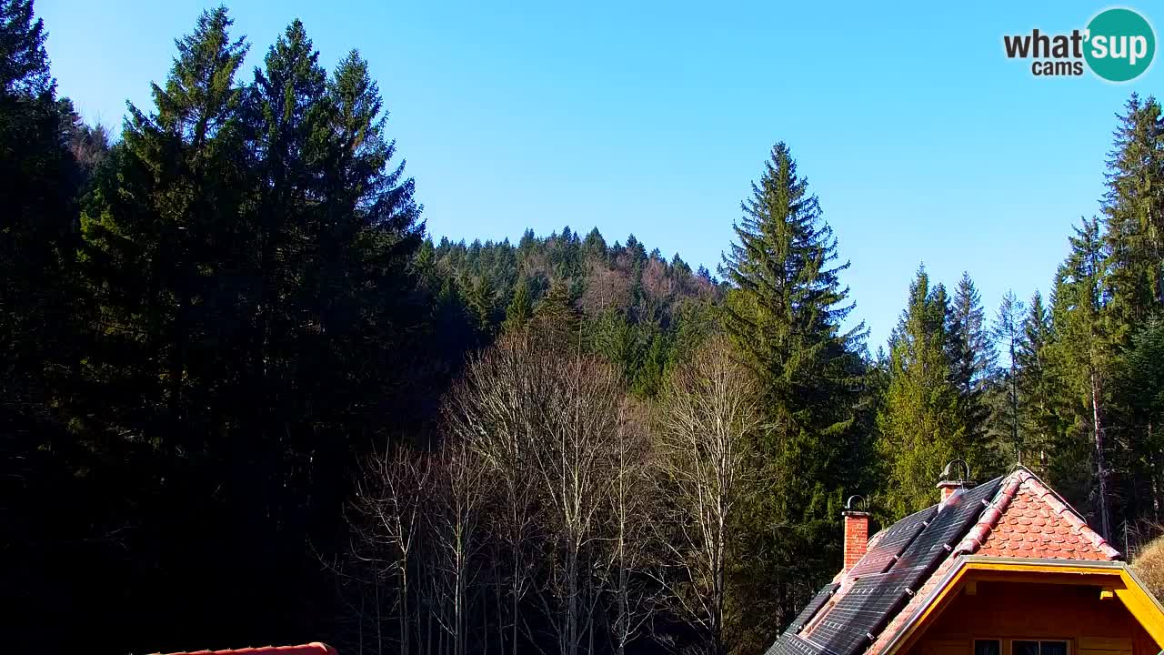 Web kamera Lukanja – Water Village | Pohorje Houses