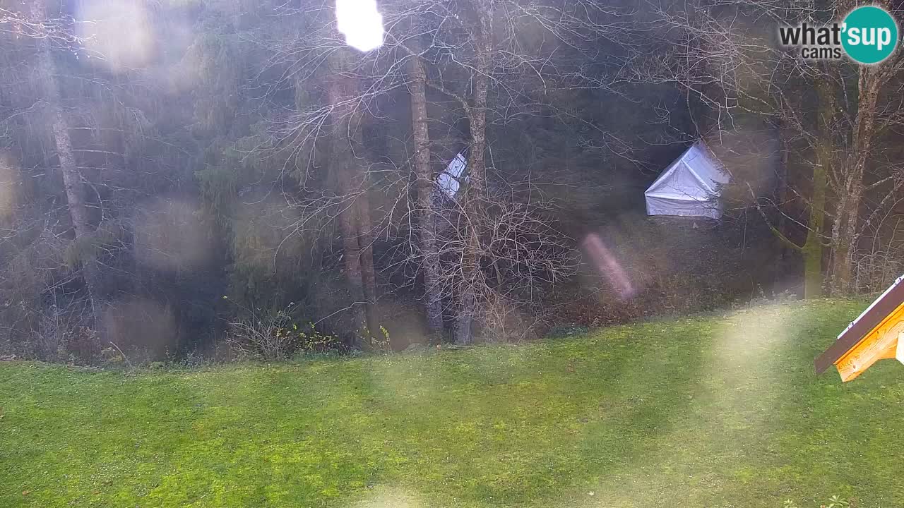 Webcam Lukanja – Pohorje houses a Water village