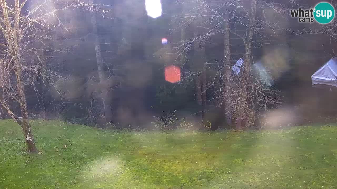 Web kamera Lukanja – Water Village | Pohorje Houses