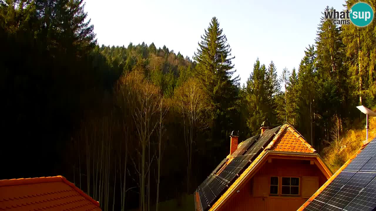 Webcam Lukanja – Water Village | Pohorje Houses