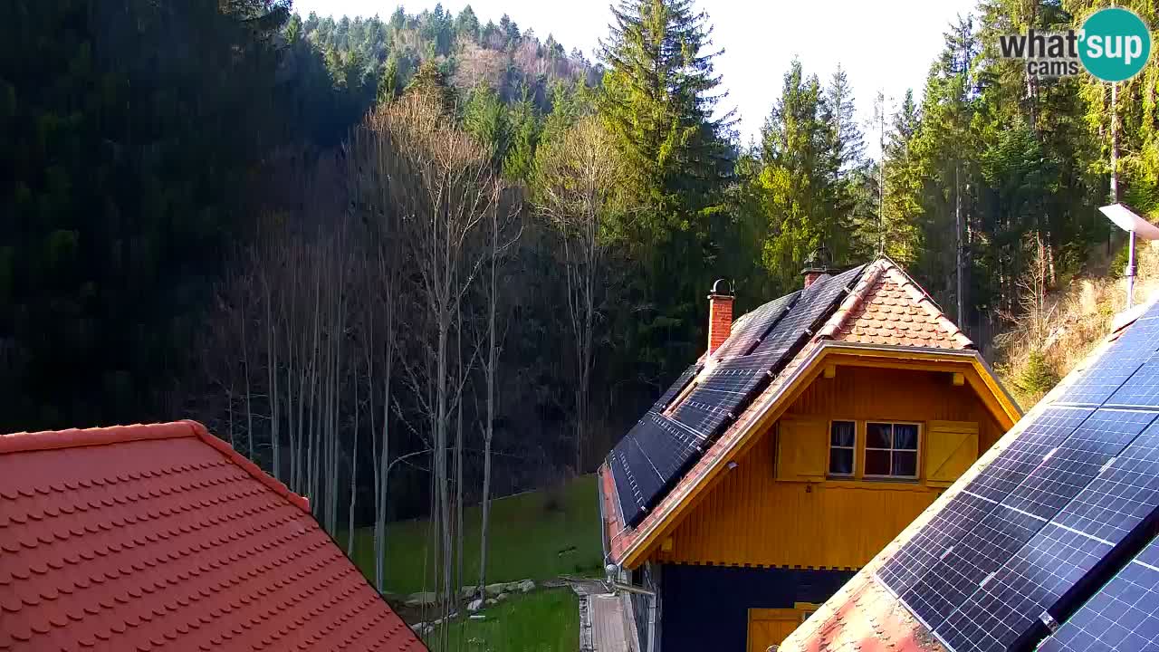 Web kamera Lukanja – Water Village | Pohorje Houses