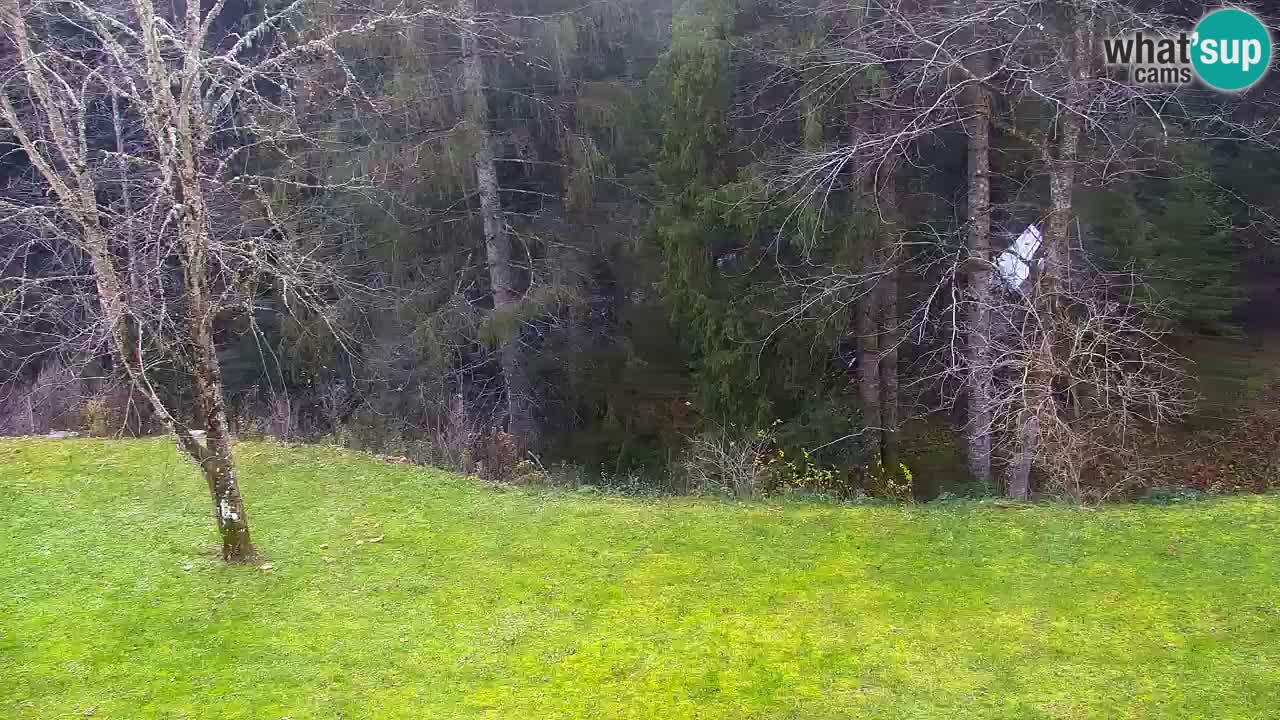 Webcam Lukanja – Water Village | Pohorje Houses