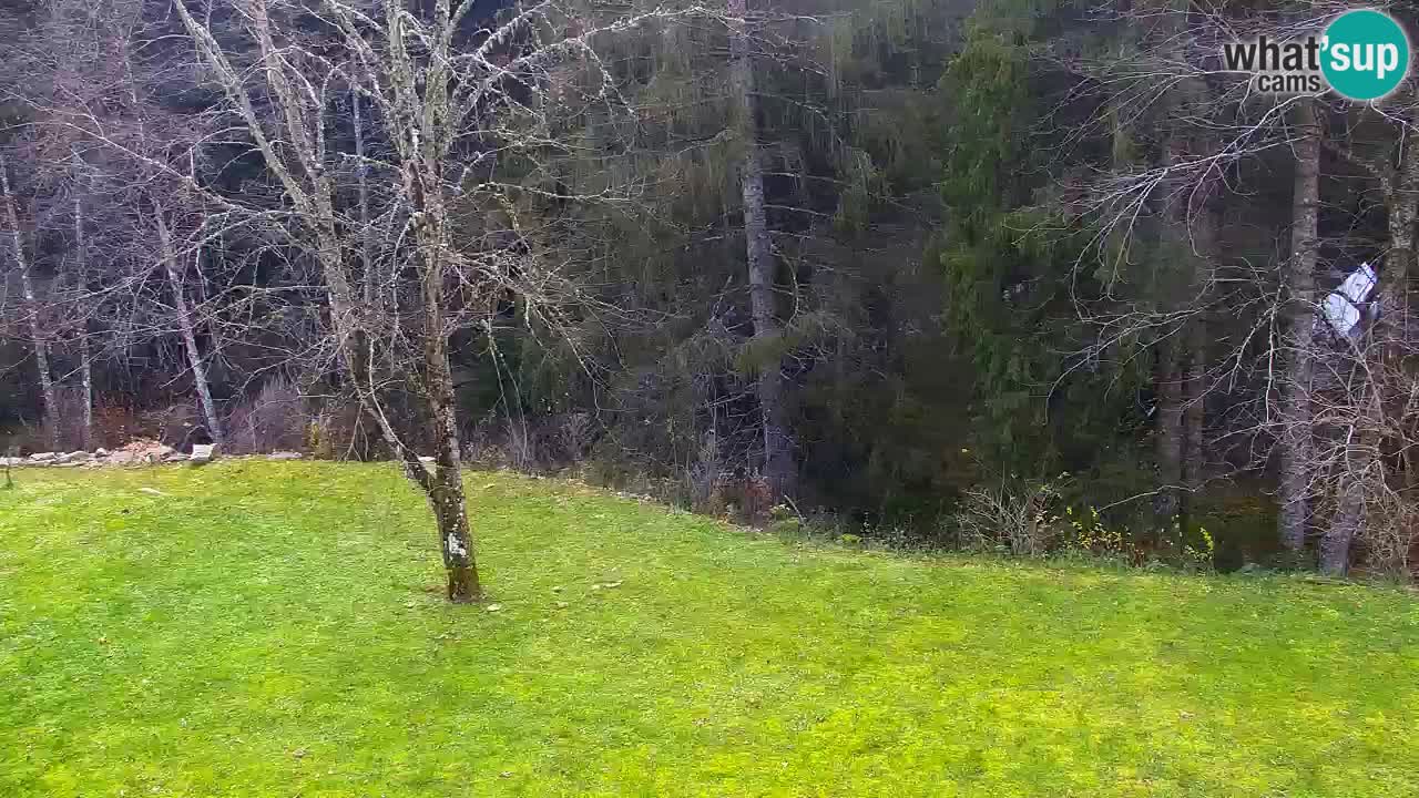 Webcam Lukanja – Water Village | Pohorje Houses